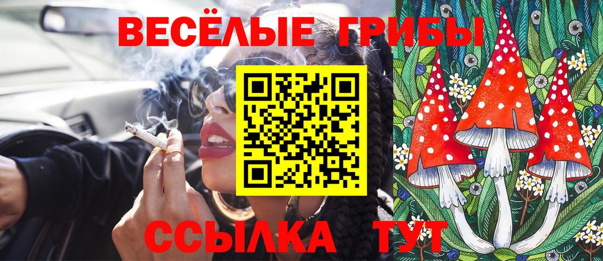 Галлюциногенные грибы Psilocybine cubensis  Псилоцибиновые грибы Psilocybine cubensis  Вход с VPN  Ливны 